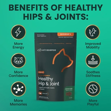 GLYCO-FLEX-III-FELINE-BITE-SIZED-CHEWS-60-COUNT