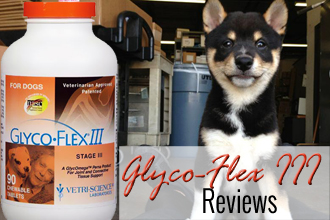 GlycoFlex III Reviews