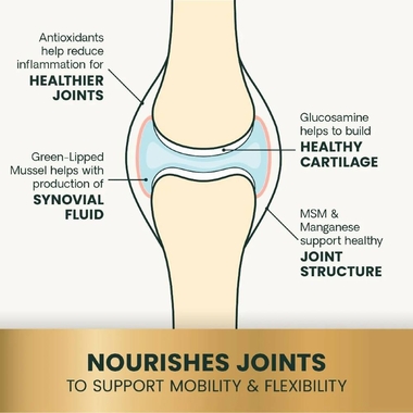 VETRI-SCIENCE-GLYCO-FLEX-PLUS-120-TABLETS