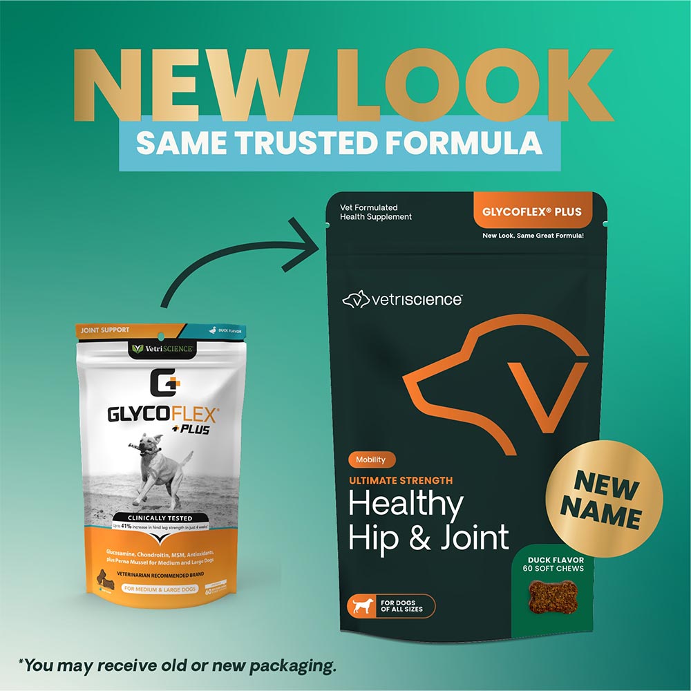 GLYCO-FLEX-PLUS-JOINT-SUPPLEMENT-DOGS-60-CHEWS