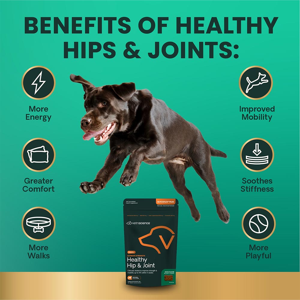GLYCO-FLEX-PLUS-JOINT-SUPPLEMENT-DOGS-60-CHEWS