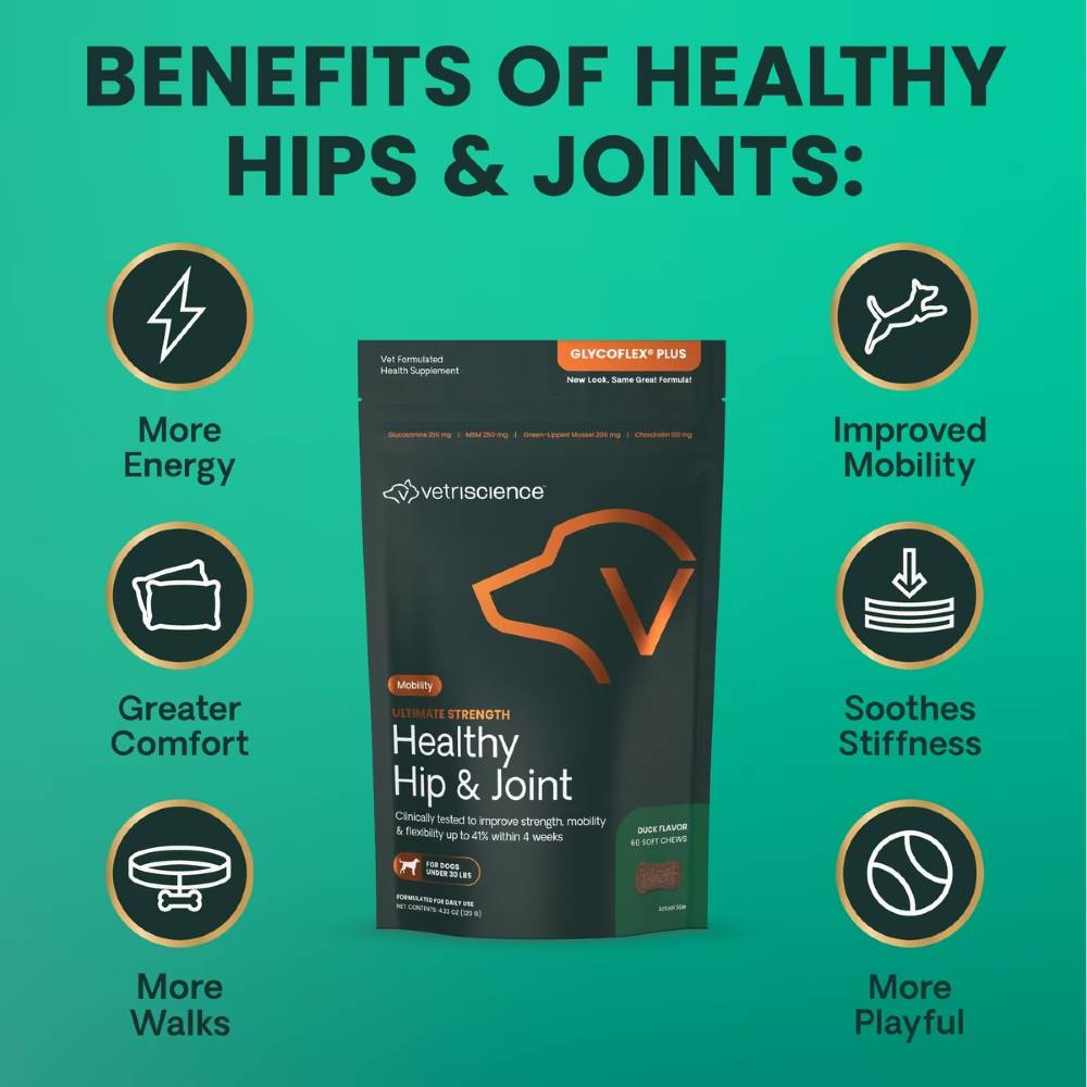 GLYCO-FLEX-PLUS-JOINT-SUPPLEMENT-SMALL-DOGS-60-CHEWS