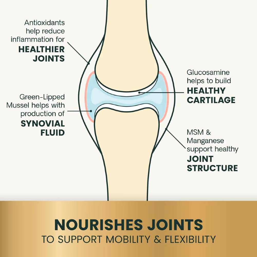 GLYCO-FLEX-PLUS-JOINT-SUPPLEMENT-SMALL-DOGS-60-CHEWS
