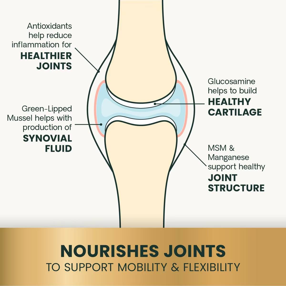 GLYCOFLEX-PLUS-JOINT-BACON-120-CHEWS