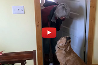 Golden Retriever Hilariously Refuses to Give His Mom a Kiss!