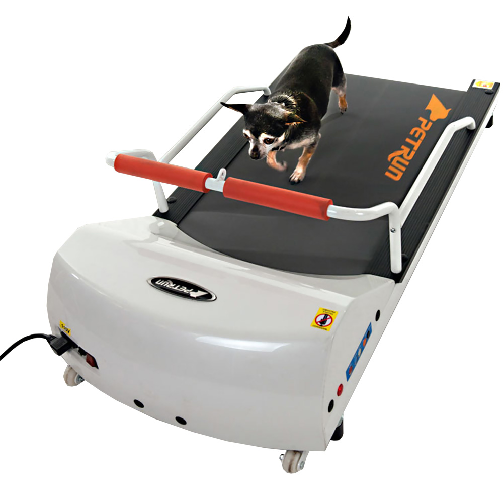 GoPet Treadmill