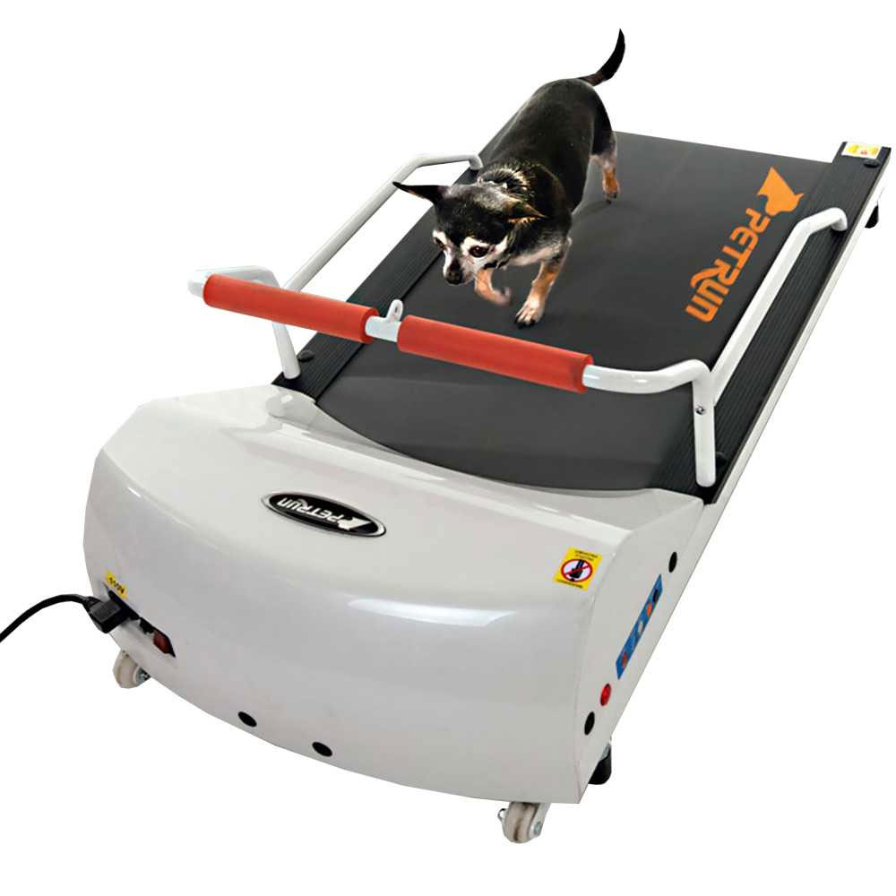 GOPET-TREADMILL-SMALL-MEDIUM-DOGS