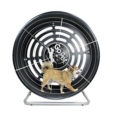 GOPET-TREADWHEEL-MEDIUM-SOME-LARGE-DOGS