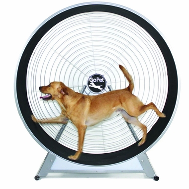GOPET-TREADWHEEL-MEDIUM-SOME-LARGE-DOGS