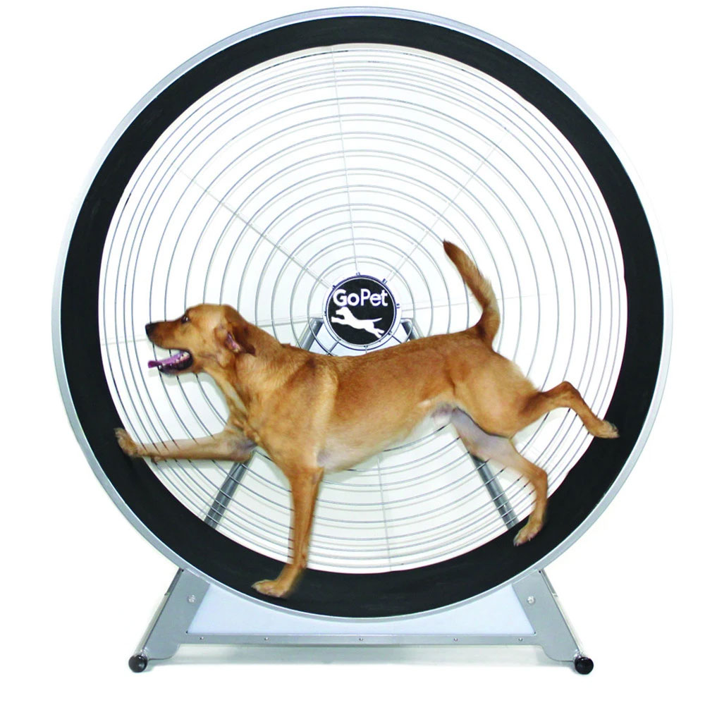 GOPET-TREADWHEEL-MEDIUM-SOME-LARGE-DOGS