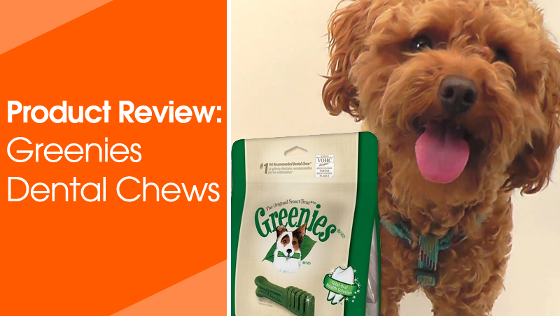Greenies Dental Chews 