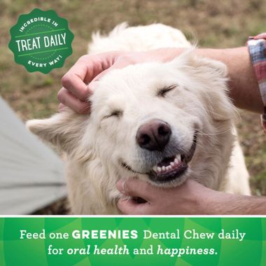 GREENIES-DENTAL-CHEWS-TEENIE-130TREATS
