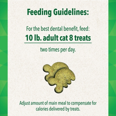 GREENIES-FELINE-SALMON-11OZ-TUB