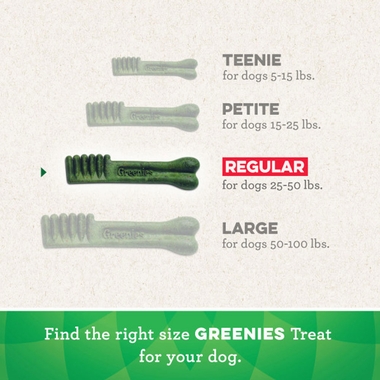 GREENIES-FRESHMINT-TREAT-PAK-REGULAR-12-OZ