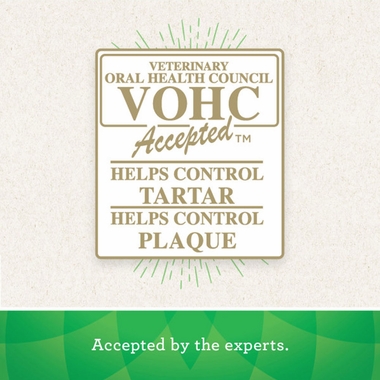 GREENIES-GINGERBREAD-FLAVOR-PETITE-6OZ-10-BONES