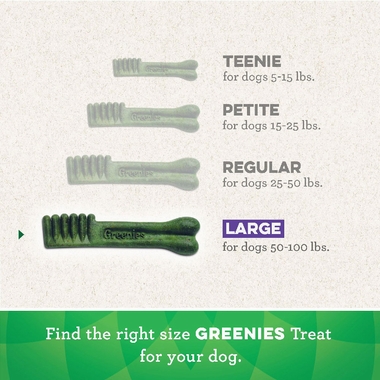 ISTEGREENIESCANRLARGE17BONES