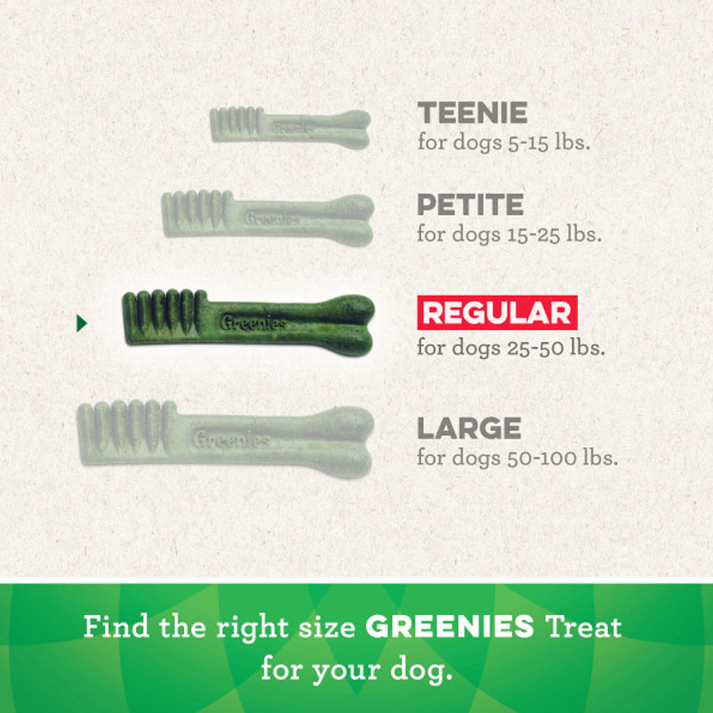 GREENIES-REGULAR-54OZ-192-BONES