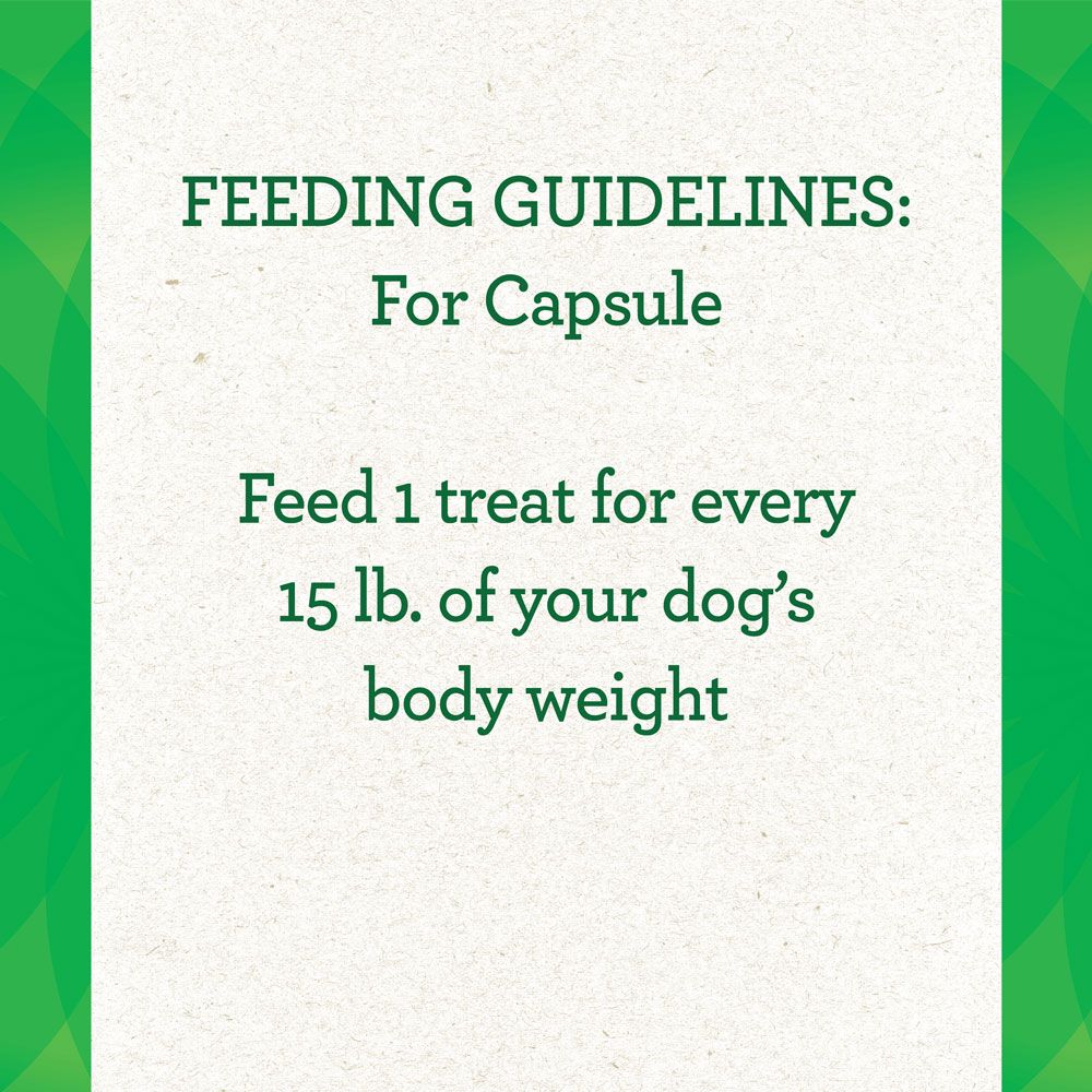 GREENIES-PILL-POCKETS-HICKORY-SMOKE-60-COUNT