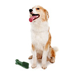 Greenies Promo - $1.50 OFF on 12 oz.