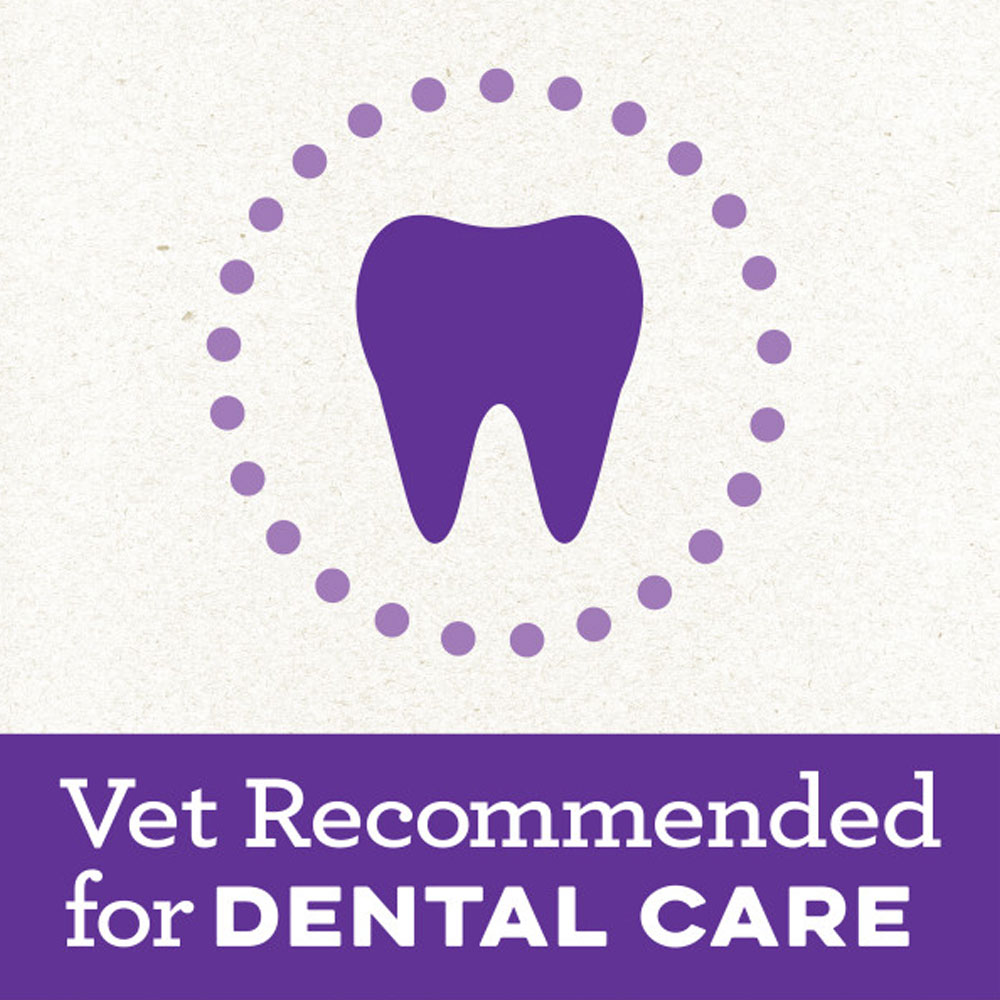 GREENIES-SCARY-BERRY-BLUEBERRY-FLAVOR-PETITE-6OZ-10-BONES