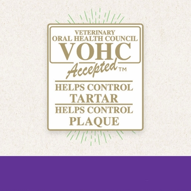 GREENIES-SCARY-BERRY-BLUEBERRY-FLAVOR-PETITE-6OZ-10-BONES