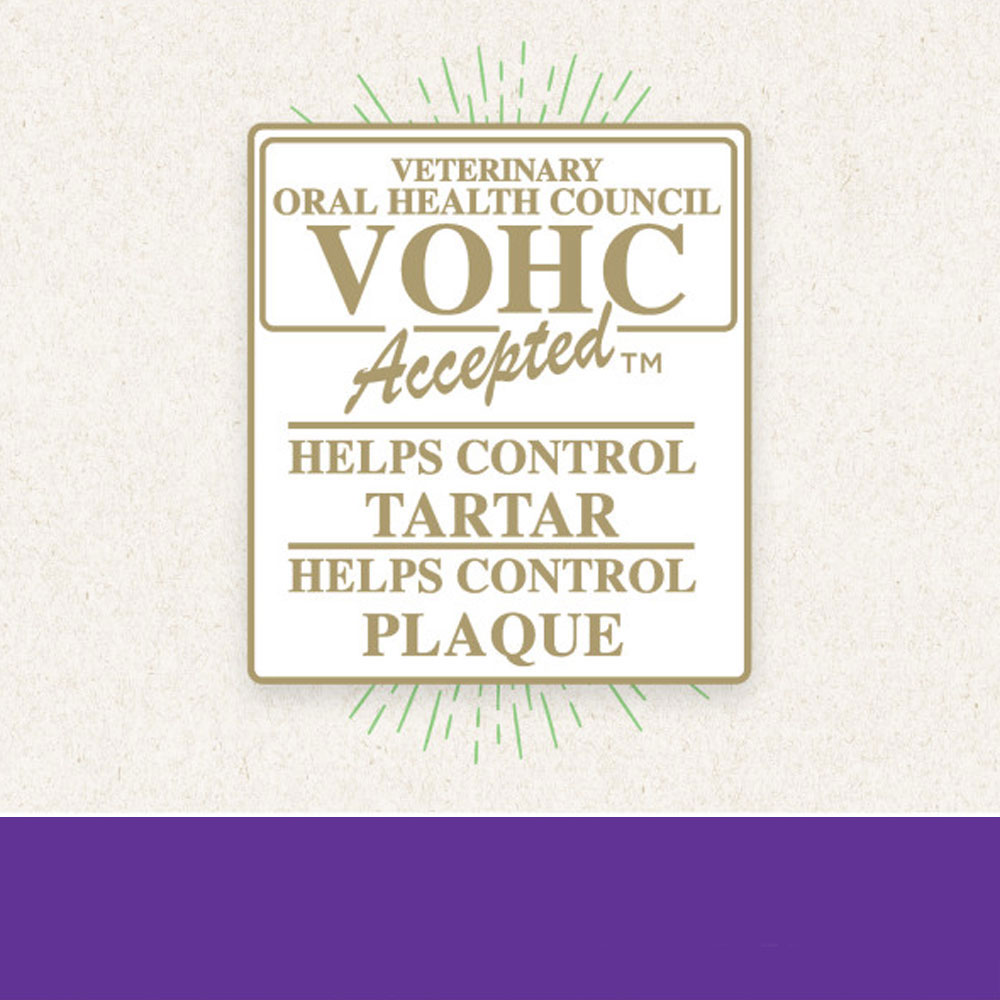 GREENIES-SCARY-BERRY-BLUEBERRY-FLAVOR-PETITE-6OZ-10-BONES