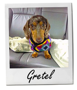 Gretel 9/10/14