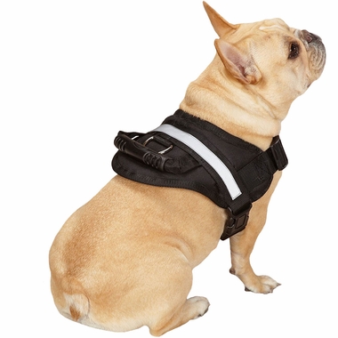 GUARDIAN-GEAR-EXCURSION-HARNESS-BLACK-26IN