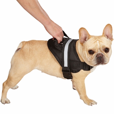 GUARDIAN-GEAR-EXCURSION-HARNESS-BLACK-26IN