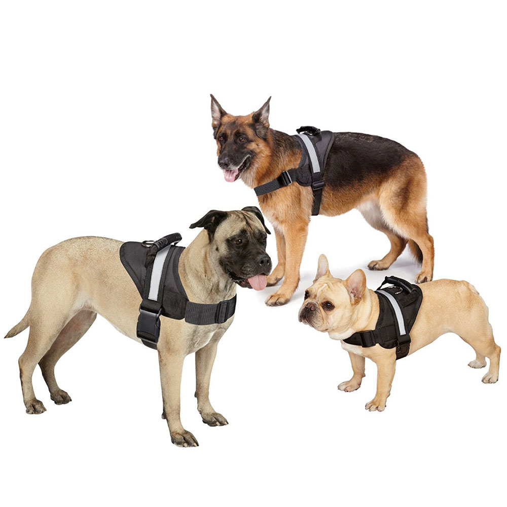 GUARDIAN-GEAR-EXCURSION-HARNESS-BLACK-26IN