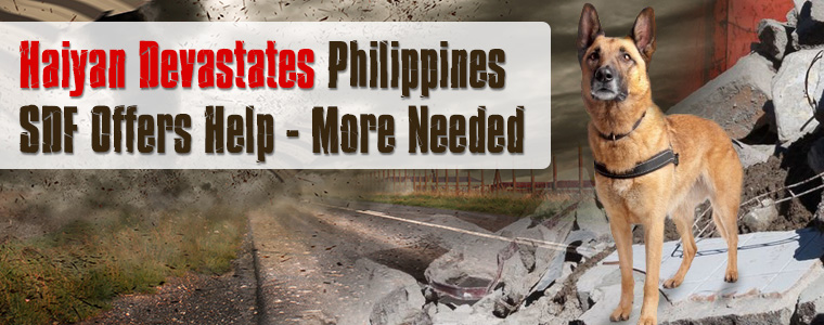 Haiyan Devastates Philippines: Search Dogs on Stand-by While More Support Needed