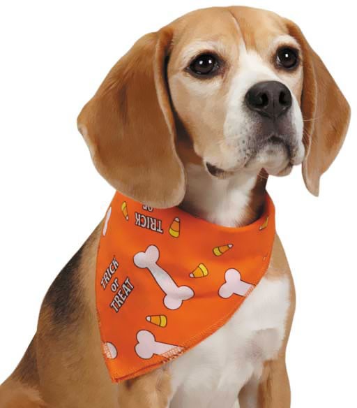 Halloween Bandana