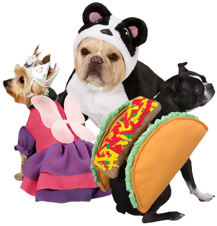 Halloween Costume Craze