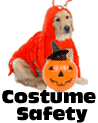 Halloween Costume Safety