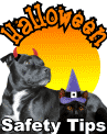 Halloween Fun And Safety Tips