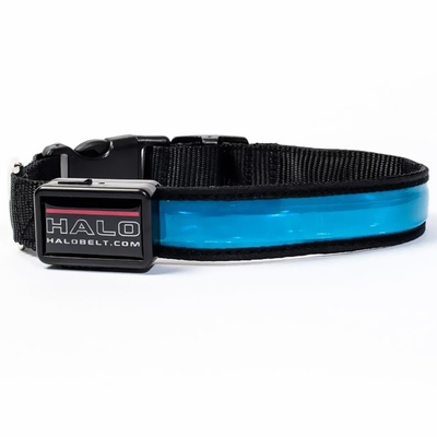 HALO-MINI-LED-SAFETY-DOG-COLLAR-BLUE-SMALL