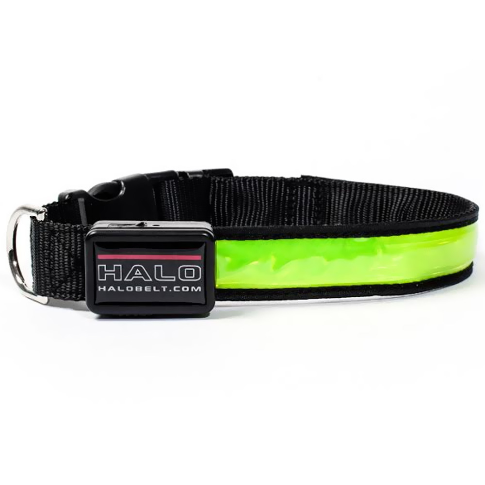 HALO-MINI-LED-SAFETY-DOG-COLLAR-GREEN-SMALL
