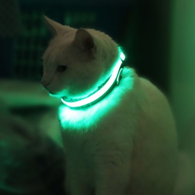 HALO-MINI-LED-SAFETY-DOG-COLLAR-GREEN-SMALL
