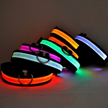 HALO-MINI-LED-SAFETY-DOG-COLLAR-RED-SMALL