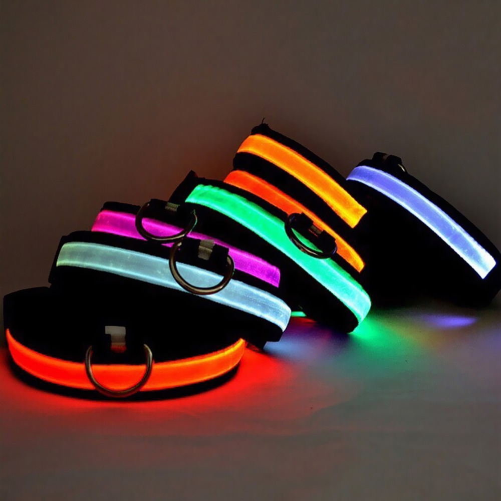 HALO-MINI-LED-SAFETY-DOG-COLLAR-RED-SMALL
