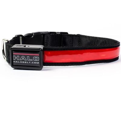 HALO-MINI-LED-SAFETY-DOG-COLLAR-RED-SMALL