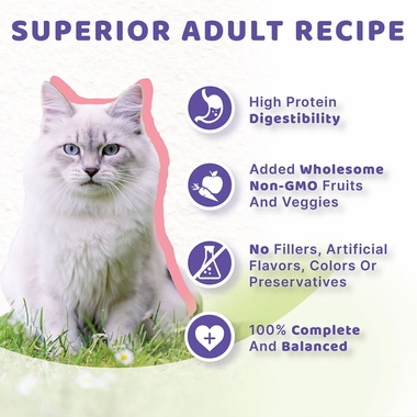 HALO-SALMON-STEW-GRAIN-FREE-ADULT-WET-CAT-FD-5OZX12