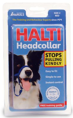 HALTIHEADCOLLARRED2