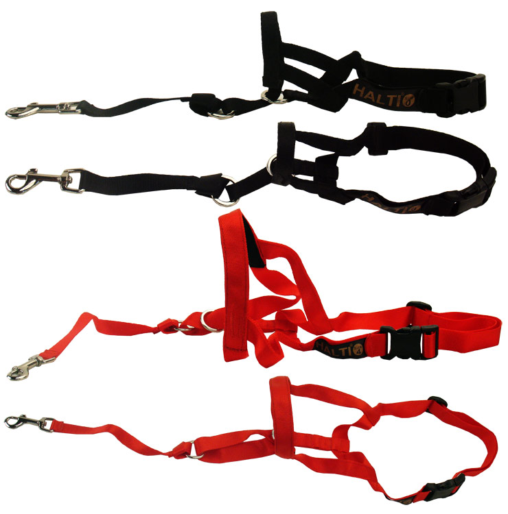 HALTIHEADCOLLARRED4
