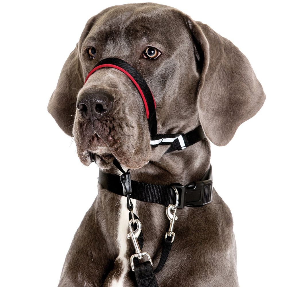 HALTI-OPTIFIT-HEAD-TRAINING-COLLAR-LARGE