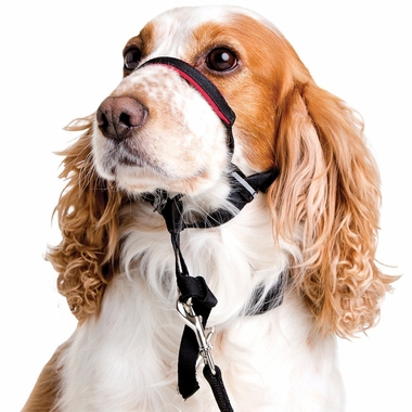 HALTI-OPTIFIT-HEAD-TRAINING-COLLAR-LARGE