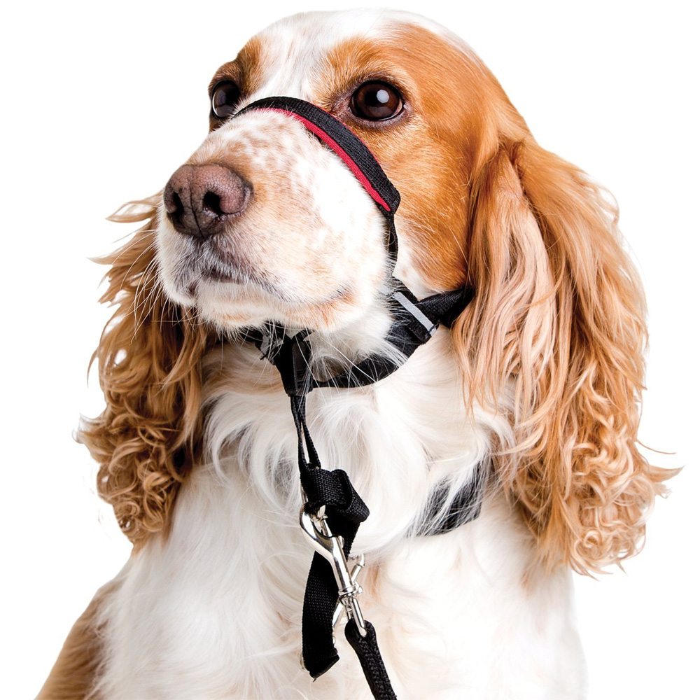 HALTI-OPTIFIT-HEAD-TRAINING-COLLAR-LARGE