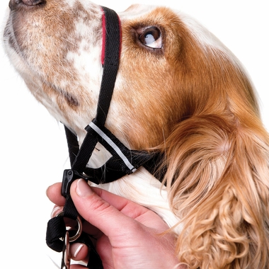 HALTI-OPTIFIT-HEAD-TRAINING-COLLAR-LARGE