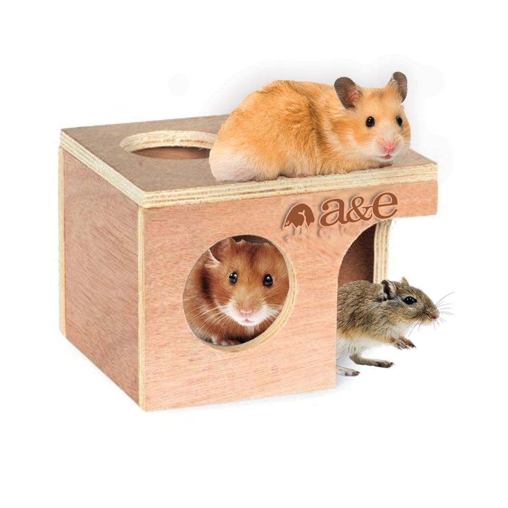 HAMSTER-GERBIL-HUT-MEDIUM