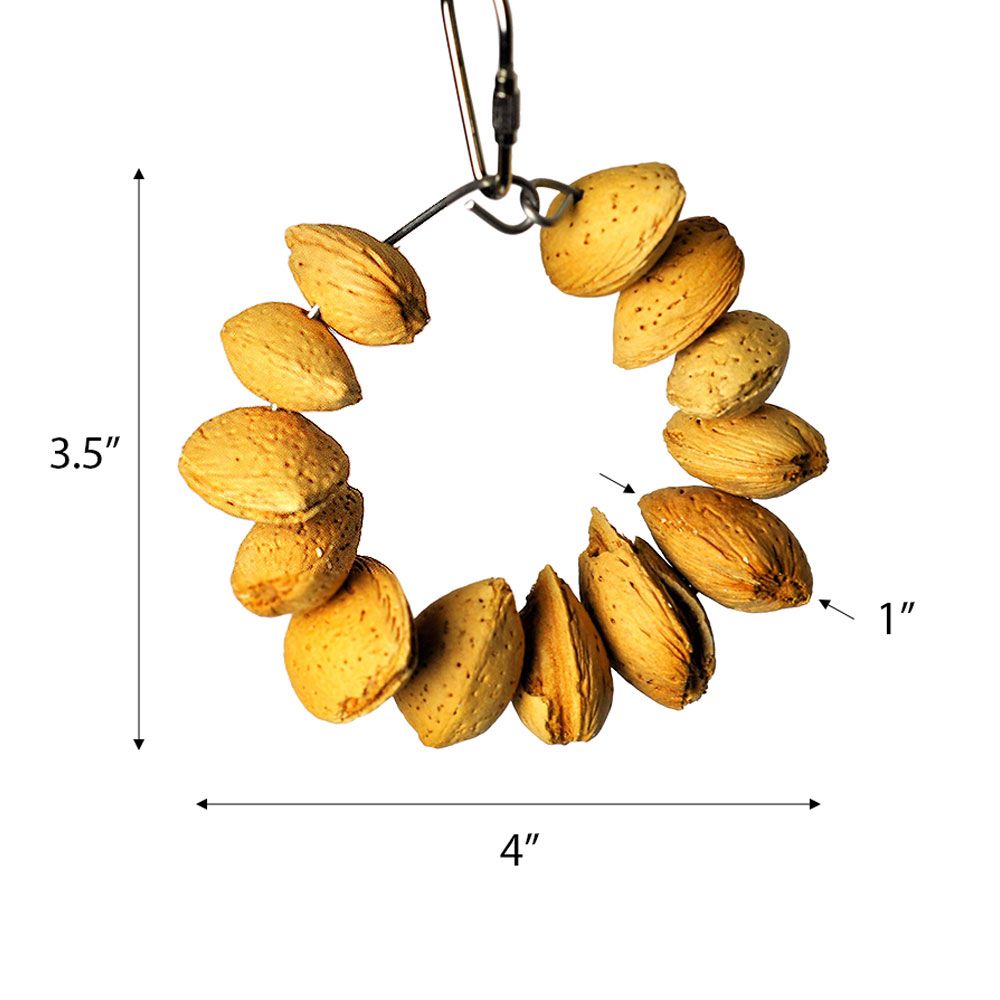 HAPPY-BEAKS-TOY-ALMOND-NUT-RING-JR